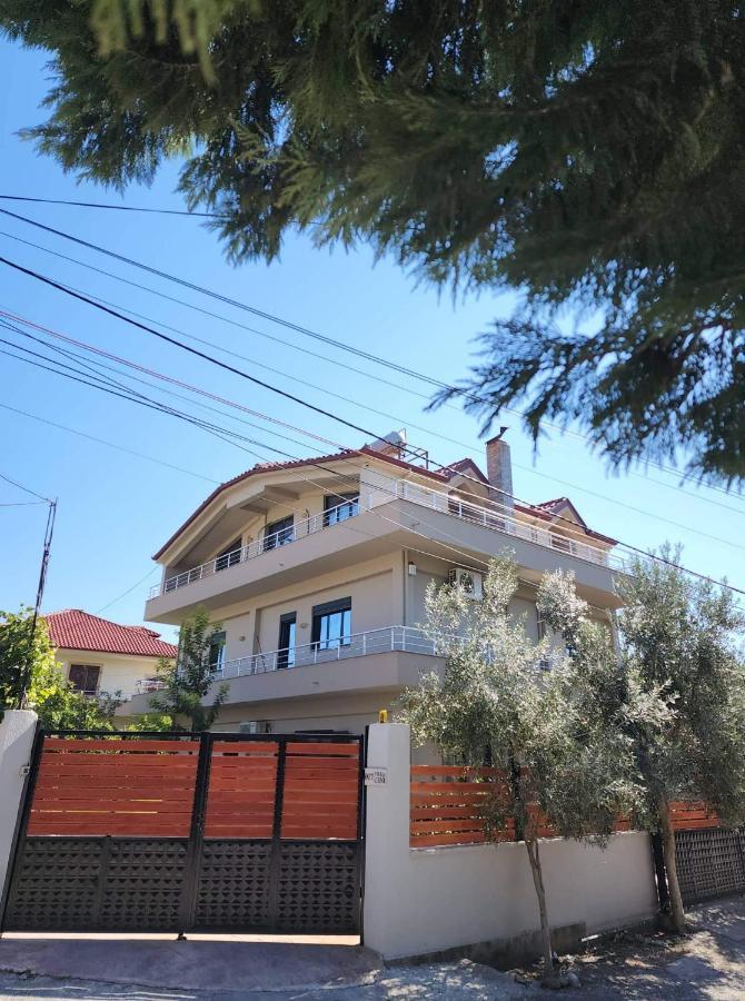 The Olive View Apartment By Ceni, Elbasan Extérieur photo